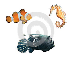 Monk fish, clown fish and sea horse.