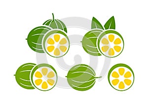 Monk fruit logo. Isolated monk fruit on white background