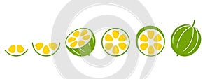 Monk fruit logo. Isolated Monk fruit on white background