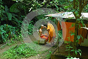 Monk has head shaved at Wat Tam Seu-uh, Krabi, Thailand. photo