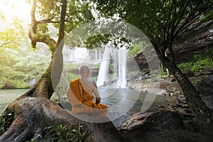 Monk practice meditation