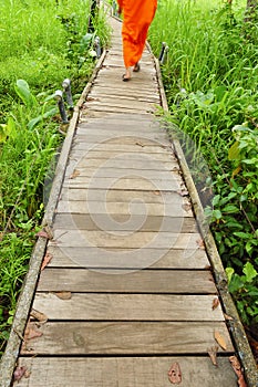 Monk walking in moderate practice