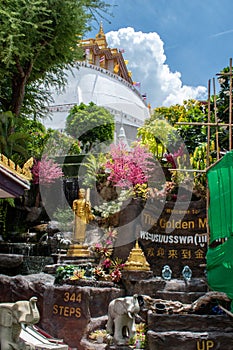 Monk at Wat Saket temple (The Golden Mount) photo