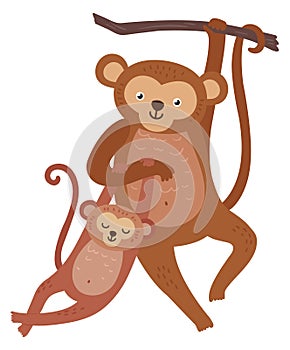 Monkey with baby hanging from tree. Cute jungle animals