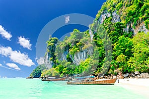 Monkey Beach, Phi Phi Islands, Thailand