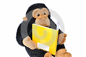Monkey with book