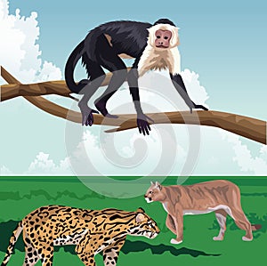 Monkey on branch and leopard felines tropical fauna and flora landscape