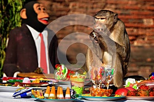 Monkey Buffet Festival in Lopburi, Thailand