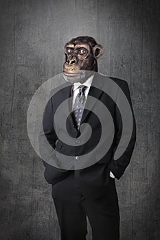 Monkey businessman