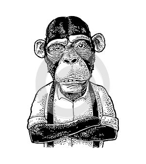 Monkey businessman in the shirt and suspender. Vintage black engraving