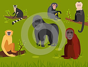 Monkey character animal different breads wild zoo ape chimpanzee vector illustration.