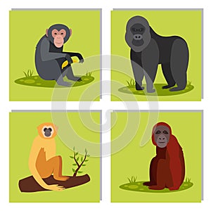 Monkey character animal different breads wild zoo ape chimpanzee vector illustration. photo