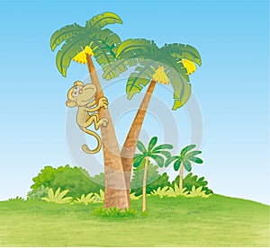 Monkey climbing palm tree
