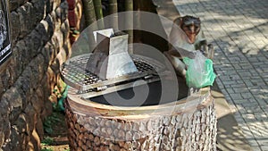 Monkey Climbs out of Dust-bin Holds Bag in Park