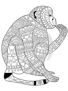Monkey coloring vector for adults