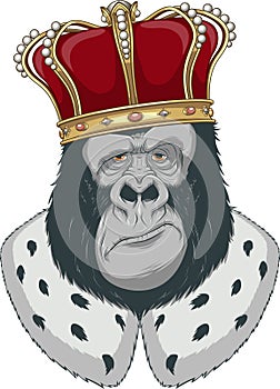 Monkey in a crown