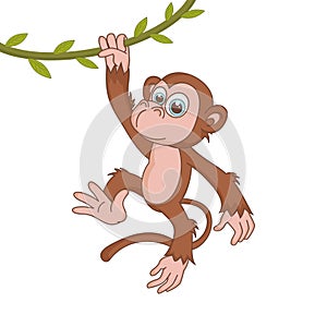 Monkey. Cute Young Ape isolated on white background. Zoo animal cartoon character. Education card for kids learning animals.