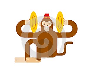 Monkey with cymbals isolated. Musical Circus MonkeÑƒ. vector illustration
