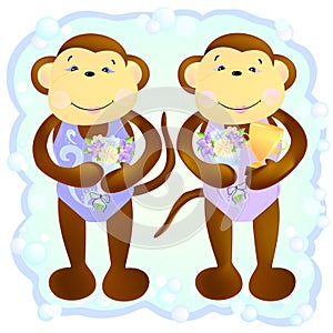 Monkey duet synchronous swimmers