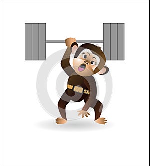 Monkey is engaged with a barbell 2