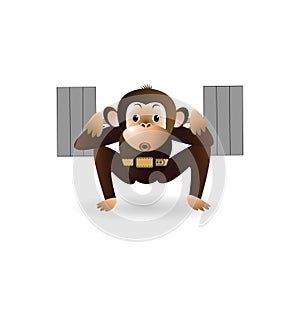 Monkey is engaged with a barbell 5