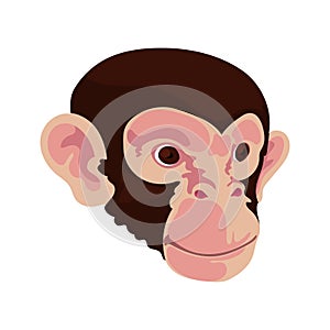 monkey face deisgn