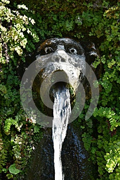 Monkey face. Detail of the luxury Villa d`Este in Tivoli, near to Rome - Italy