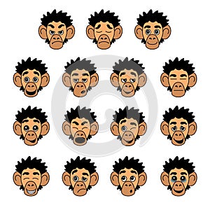 Monkey face expressions