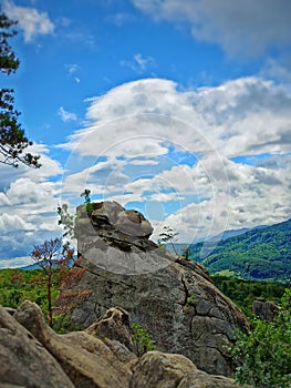 Monkey face rock height many colors sky pine trees