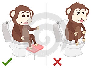 Monkey feel good and bad practice in use toilet.