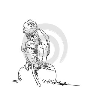 Monkey female with cub sketch, Macaque mom with baby hand drawn vector black and white