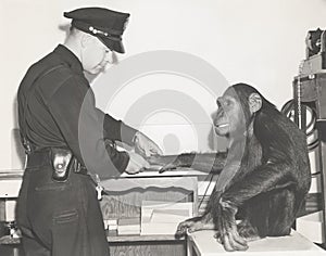 Monkey fingerprinted by police officer
