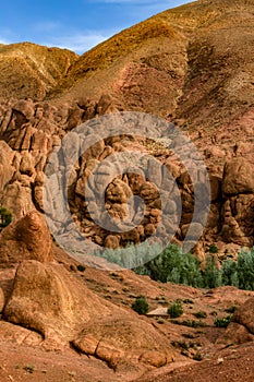 Monkey fingers, rock formation in the Dades Valley, Atlas Mountains, Morocco, Africa