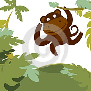 Monkey in forest