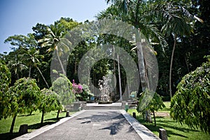 Monkey forest in Bali (Sangeh)