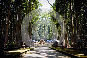 Monkey forest in Bali (Sangeh)