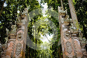 Monkey forest in Bali (Sangeh)