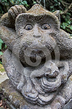 Monkey forest, ubub, Bali Island photo