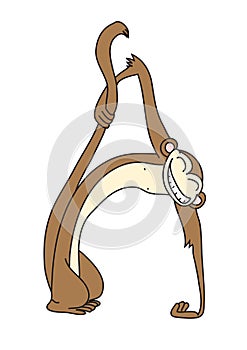 Monkey in the form of the letter A