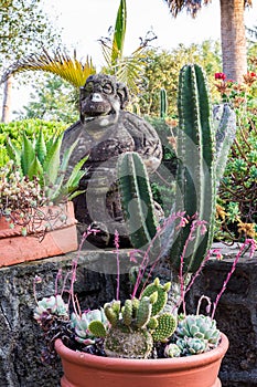 Monkey on a garden