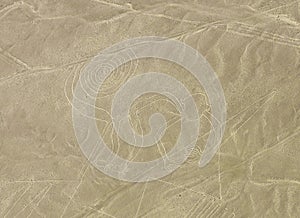 Monkey Geoglyph, Nazca Lines, Peru