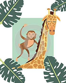 Monkey and giraffe animal wild with leafs