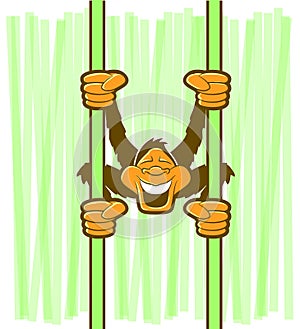 Monkey Hanging Cartoon