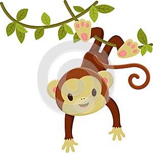 Monkey hanging on a liana