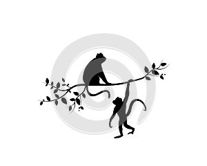 Monkey hanging and monkey on branch isolated on white background