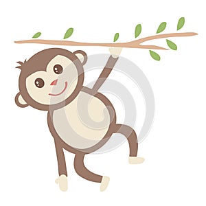 Monkey Hanging from Tree Branch