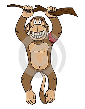 Monkey Hanging On A Tree Branch Color Illustration