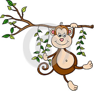 Monkey hanging from a tree in jungle