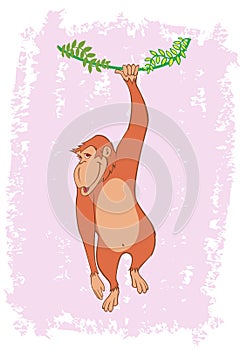 Monkey Hanging On Tree Vine Illustration