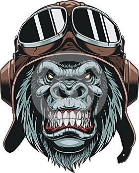 Monkey in helmet pilot